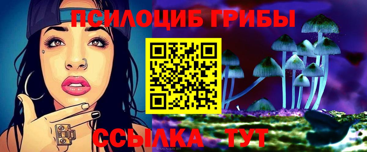 Галлюциногенные грибы мицелий Жигулёвск